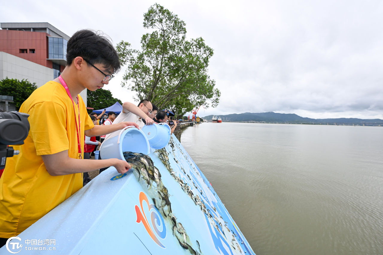 “兩岸青年共護(hù)漁業(yè)資源”增殖放流活動在福州馬尾舉行